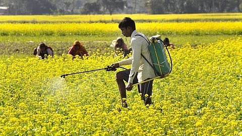 Image for representational purpose only. (Photo | PTI)