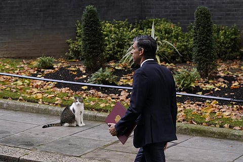 'Sunak's foolish admirers in India were worse than his wiser foes at home.' (Photo used for representational purpose| AP)