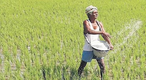 Image for representational purpose only.