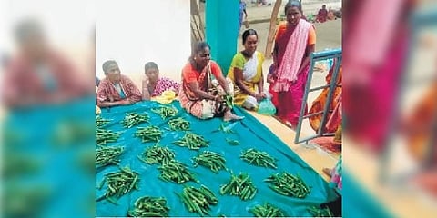 Vegetables harvested in Irukankudi being sold in market | Express