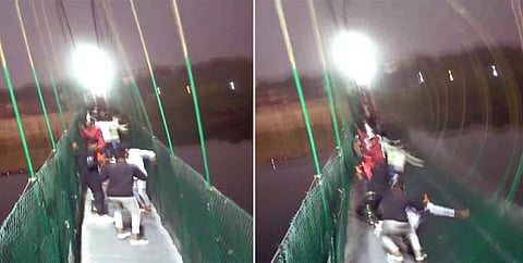 The bridge was 1.25 metres wide and spanned 233 metres, and was meant to give a unique identity to Morbi. (Photo | PTI)