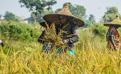 Image used for representational purpose only. ( File | EPS)