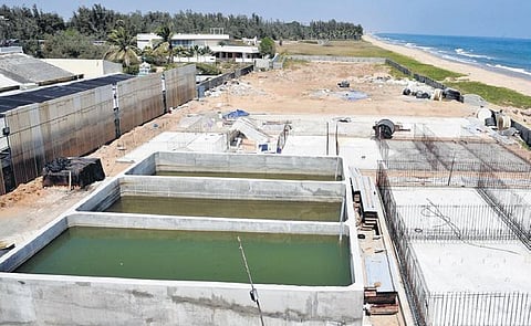A private shrimp hatchery adjacent to the sea on ECR, near Chennai | R Satish Babu