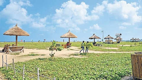 Visitors thronging Kovalam Beach demand more recliners and umbrellas to cater to the growing footfall | shiba prasad sahu