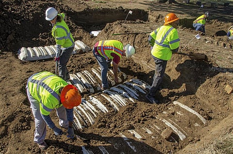 Crews work on an excavation at Oaklawn Cemetery searching for victims of the 1921 Tulsa Race Massacre on Thursday, Oct. 27, 2022. (Photo | City of Tulsa via AP)