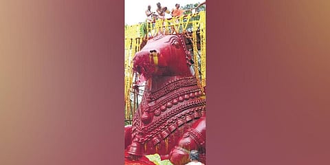 Hundreds witness Nandi statue Mahabhisheka at Chamundi Hills