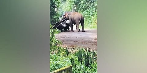 Kabali attacks a jeep on Athirappilly-Valparai Ghat Road in Thrissur | Express