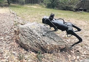 Image used for representational purpose only. (File Photo)