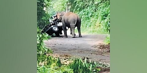 Kabali, the wild elephant, attacking a jeep on the Athirappilly-Valparai Ghat Road in Thrissur | Express