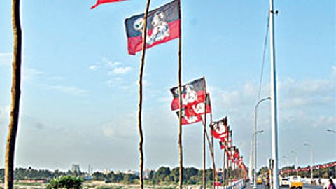 AIADMK flag. Representational image