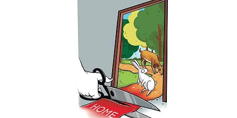 (Sourav Roy, Express Illustrations)