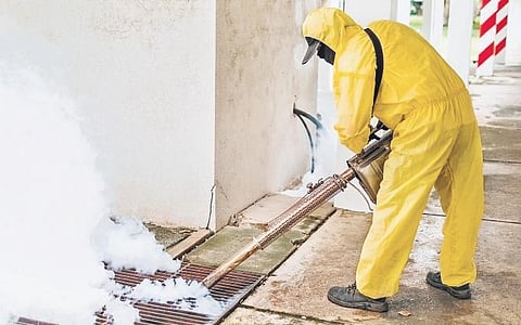 Struggling to keep your homes pest-free?