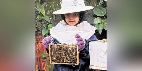 Rabeea Hamda tends to bees and extracts honey in her house compound