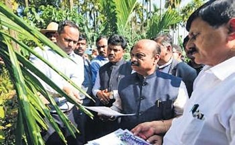 CM Bommai inspects areca plant affected by leaf spot disease in Thirthahalli taluk