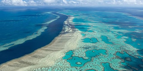 A United Nations-backed mission is recommending that the Great Barrier Reef be added to the list of endangered World Heritage sites. (Photo | AP)