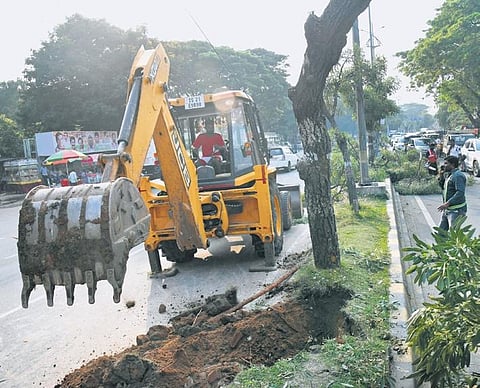 An HMDA worker uproots trees with an earthmover at NTR Marg road to pave way for Formula E race in Hyderabad on Thursday | vinaY madapu