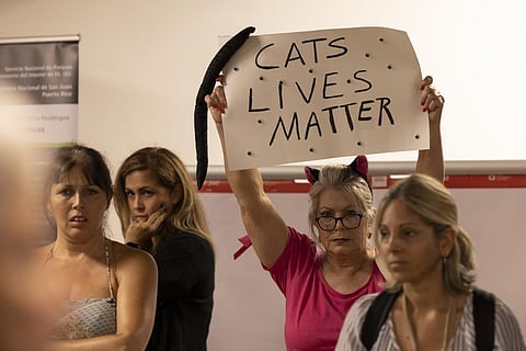 Residents attend a public hearing to create a plan to manage the colony of cats on the Paseo El Morro pathway by the The U.S. National Park Service in Old San Juan, November 2, 2022. (Photo | AP)