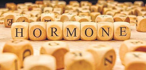 Image used for representational purpose only. (File Photo)