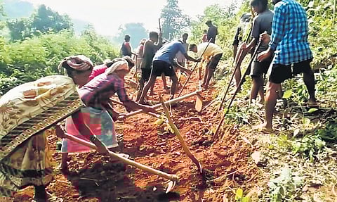 As many as 180 tribals took up works on Monday to lay temporary roads, covering 10 km between Gummanti Road & Palabandhi via Rachakalam on Monday | Express