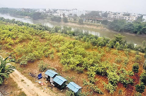 The plot cleared for reclassification. (Photo | Martin Louis0