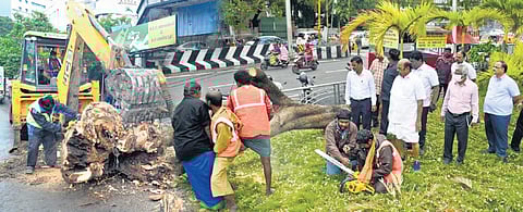 Public Works Department Minister EV Velu inspects cyclone relief work in Chennai. (Photo | Express)