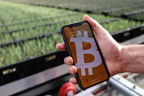 The image shows the bitcoin logo on a smart phone in a greenhouse heated with bitcoin miners near Amsterdam. (Photo | AFP)