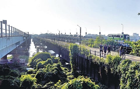Today, the Venduruthy bridge — built in 1938 — has turned into a busy fishing hub PICS | A Sanesh
