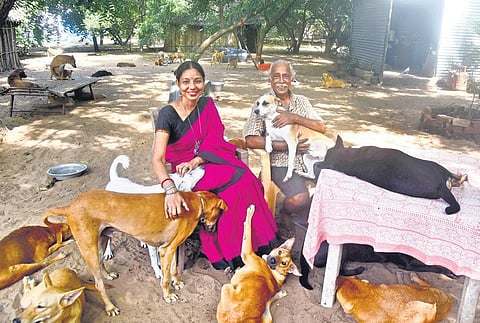 Sarah and her husband Gerry with their dogs in Daaman Dog Shelter at Krishnankaranai. (Photo | Martin Louis)