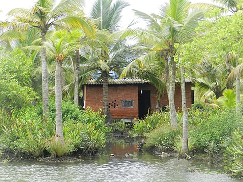 A house in the low lying area in Munroe Island. (Photo | EPS)
