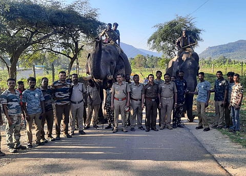 Two Kumkis to drive away lone tusker from villages in Erode