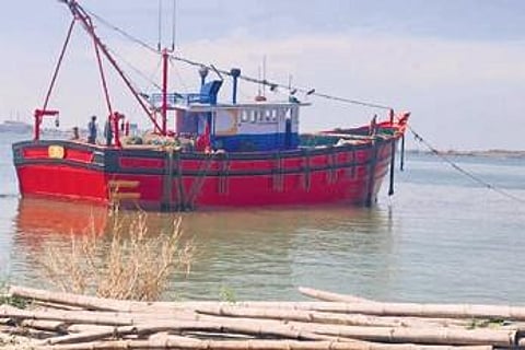 Mangaluru fish to get back wings to fly