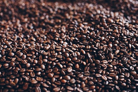 Image used for representational purpose only.