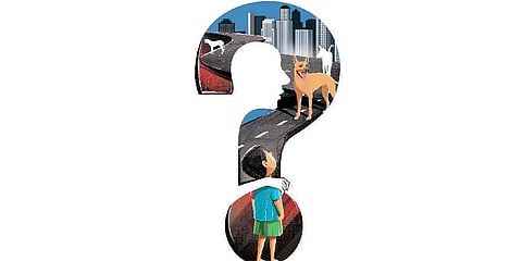 Image used for representational purposes only. (Express Illustrations)