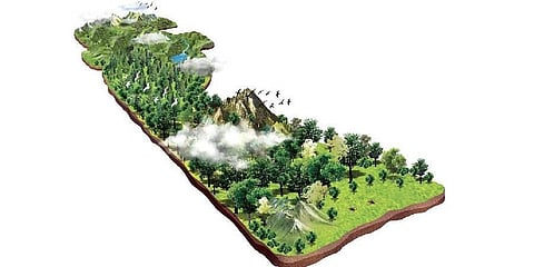 Angel Valley, Pampa Valley ‘vanish’ in satellite survey