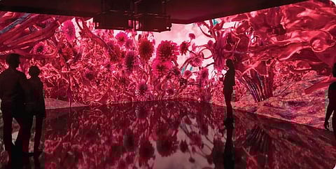 Paint the town magenta!