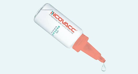 Bharat Biotech's intranasal Covid vaccine . (Photo | Twitter Bharat Biotech)