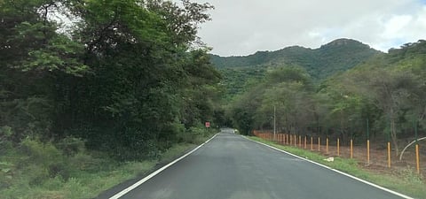 A view of the Sirumalai hills. (Photo | Special arrangement)