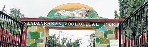 Nandankanan zoo. (File Photo)