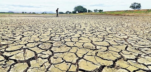 (Photo | K K Sundar)