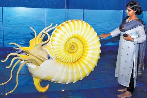 Image for representational purpose only.