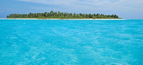 All for the winter holiday