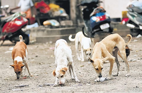 Image used for representation | Ashwin Prasath