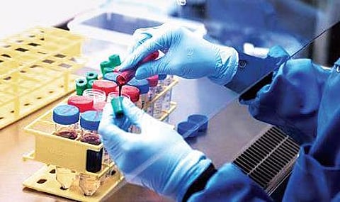 More people rely on private labs for Covid test