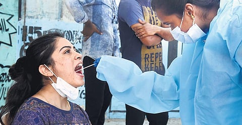 87% of people in TN have antibodies to Covid: Study