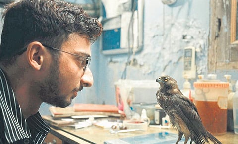 A still from ‘All That Breathes’, which follows the life of Mohammad Saud and Nadeem Shehzaad, founders of Wildlife Rescue.
