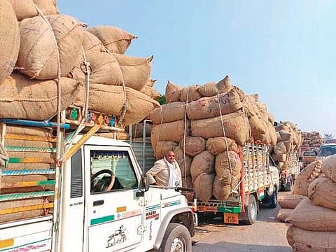Vendors stocking produce