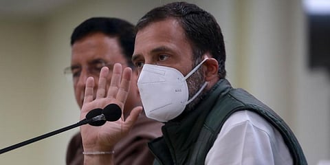 Congress MP Rahul Gandhi (Photo | EPS)