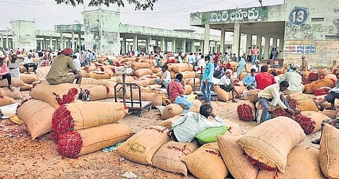 Prices of red chilli, which is in hot demand at Asia's largest agriculture market in Warangal district, have touched record levels