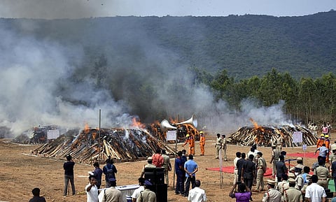 Two lakh kg of ganja worth nearly Rs 500 crore consigned to flames by the AP Police and Special Enforcement Bureau at Kodur in Visakhapatnam. (Photo | G Satyanarayana, EPS)