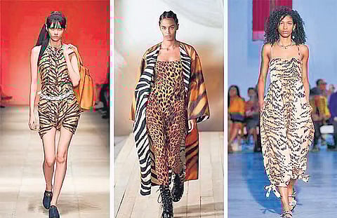 Models in Salvatore Ferragamo, Roberto Cavalli, Kenneth Ize.